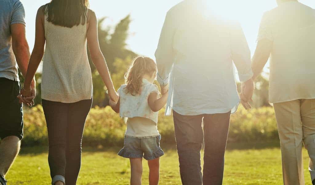 Family Therapy