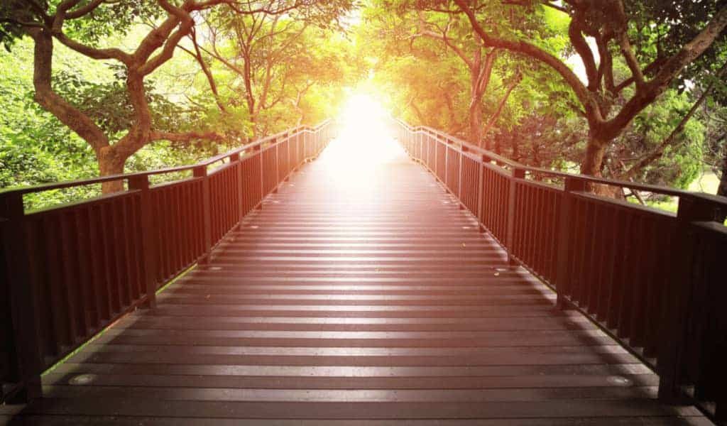 EMDR Therapy