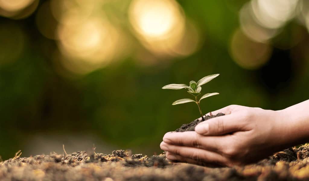 Individual Therapy in NJ