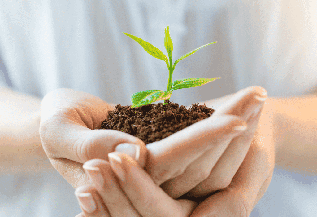 personal growth